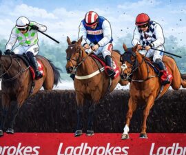 jukebox man jumps fence in king george vi
