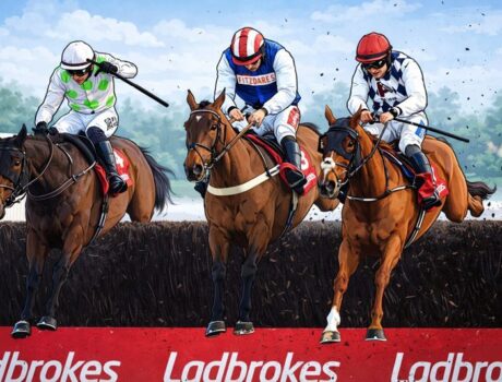 jukebox man jumps fence in king george vi