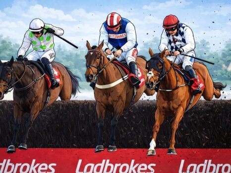 jukebox man jumps fence in king george vi